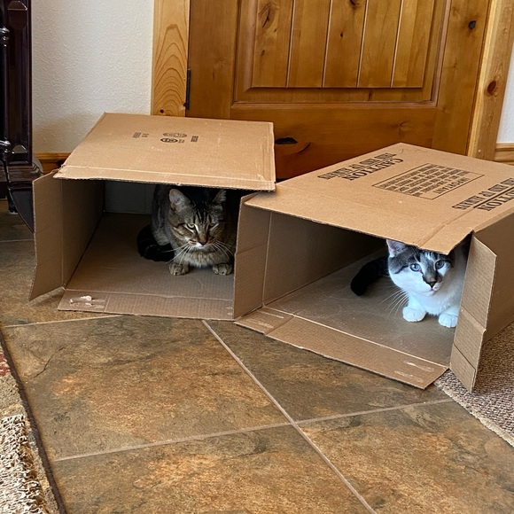 I learn so much checking out other closets! - Picture 16 of 16